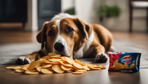 czy pies może jeść chipsy